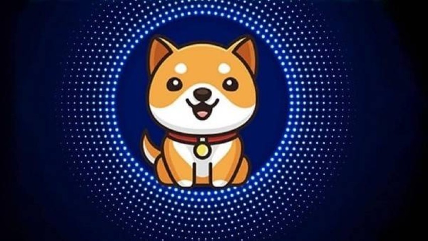 يعتبر Baby Dog هو الناجي الأبرز من زلزال العملة المشفرة خلال الأيام العشرة الأولى من عام 2022