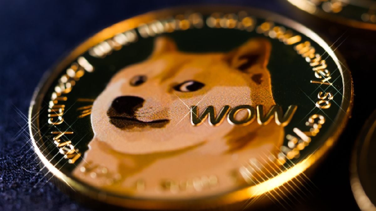 حيتان Dogecoin تحركت 414 مليون DOGE بعد انخفاض الأسعار بأكثر من 8٪
