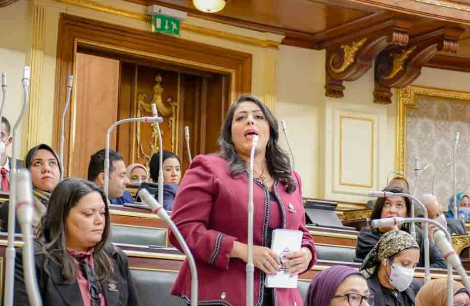3 نواب لـ “مجلس التنسيق” يوافقون على قانون مجلس الصحة المصري .. ونائب يرفض |  صورة فوتوغرافية