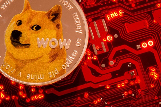 مؤسس Dogecoin ، جاكسون بالمر: أتمنى أن تكون نهاية العملة المشفرة قريبة ، لكنها ليست كذلك