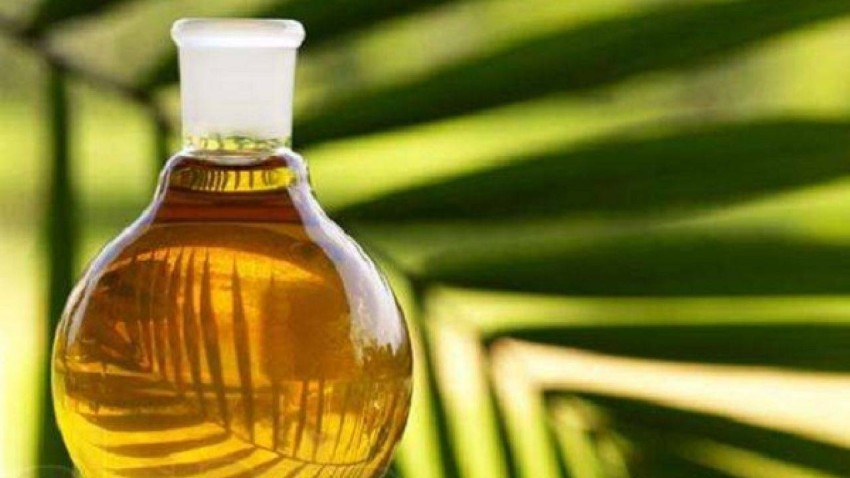 تواصل أسعار زيت النخيل انخفاضها لليوم الرابع على التوالي