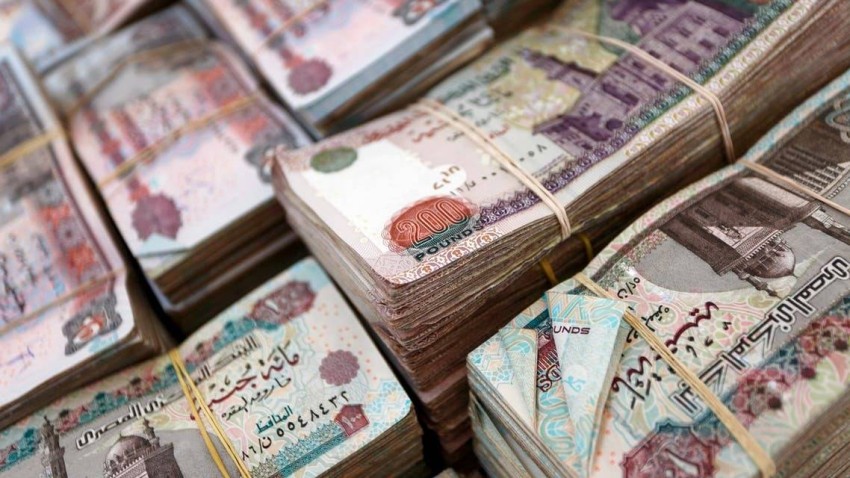 وتراجع الجنيه المصري أمام الدولار بنحو 14٪