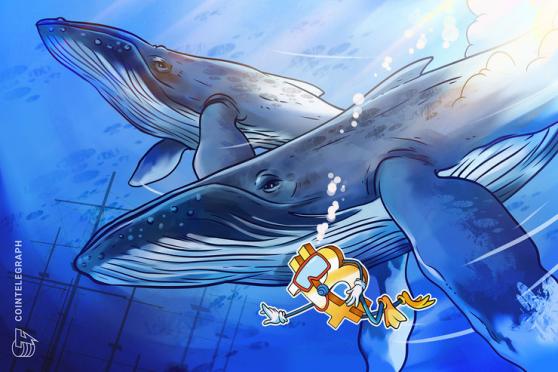تملأ حيتان البيتكوين جيوبها على الرغم من التحذيرات من أن سعر البيتكوين قد ينخفض إلى أقل من 40 ألف دولار 3 تملأ حيتان البيتكوين جيوبها على الرغم من التحذيرات من أن سعر البيتكوين قد ينخفض إلى أقل من 40 ألف دولار