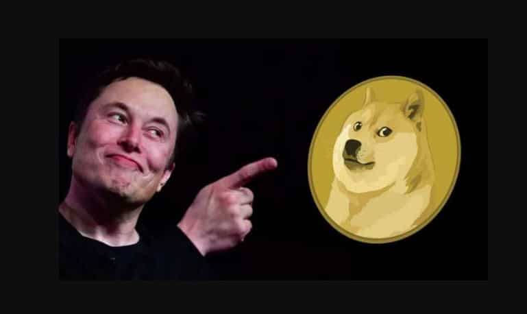 يقترح Elon Musk الدفع لـ DOGE مقابل خدمة Twitter المدفوعة ويقترح أفكارًا جديدة