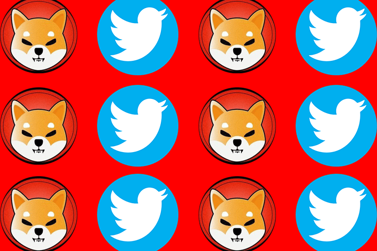 لدى Shiba Inu 3.3 مليون متابع على Twitter ، أي أقل من بضعة آلاف من المتابعين Dogecoin