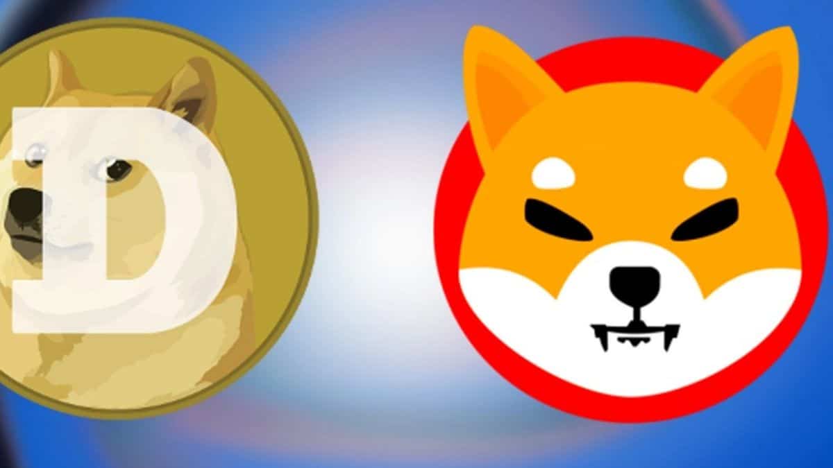 العملات المشفرة “Shiba Inu” و “Dogecoin” تفقد زخمها في الانخفاض الأخير في سوق العملات المشفرة