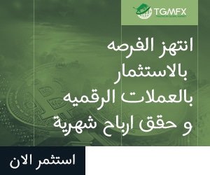يمكن الآن شراء منتجات Tesla باستخدام Dogecoin ويتأثر سعر DOGE بالأخبار 3 3TG300X250