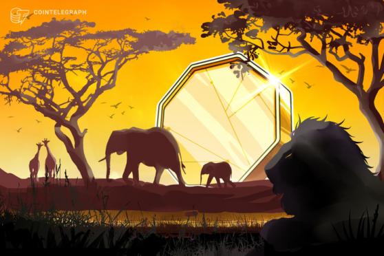 أطلق رئيس جمهورية إفريقيا الوسطى مبادرة Cryptocurrency بعد اعتماد Bitcoin
