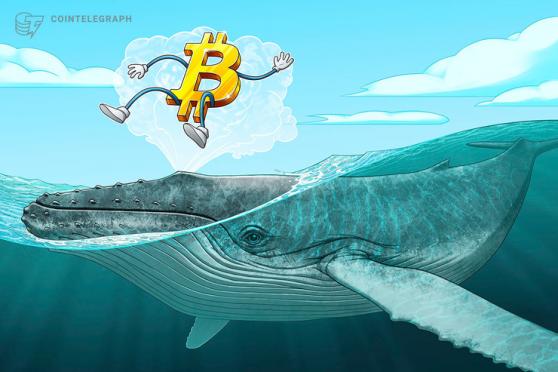 ارتفع سعر البيتكوين إلى أعلى مستوى في 10 أيام مع طلب حيتان البيتكوين 